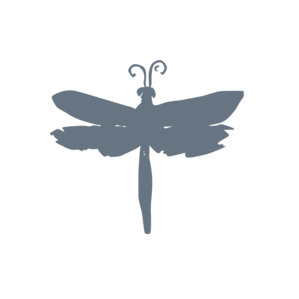 DragonFly Studio